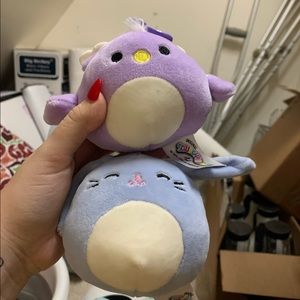 isbella the bunny and elina the peacock squishmallow set